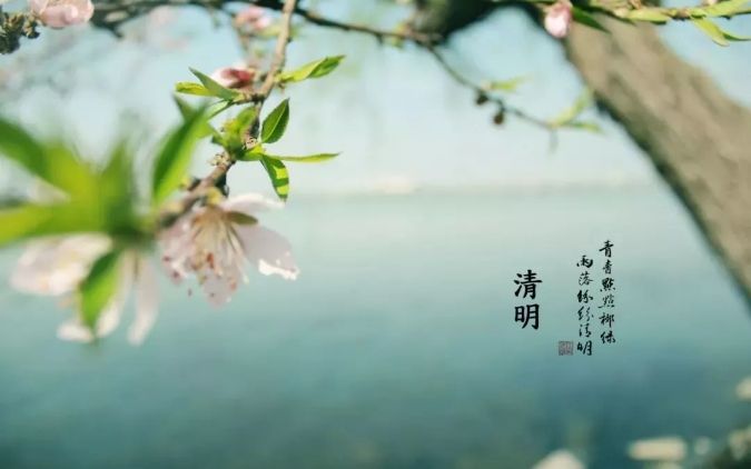 清明 || 雨紛紛，思故人