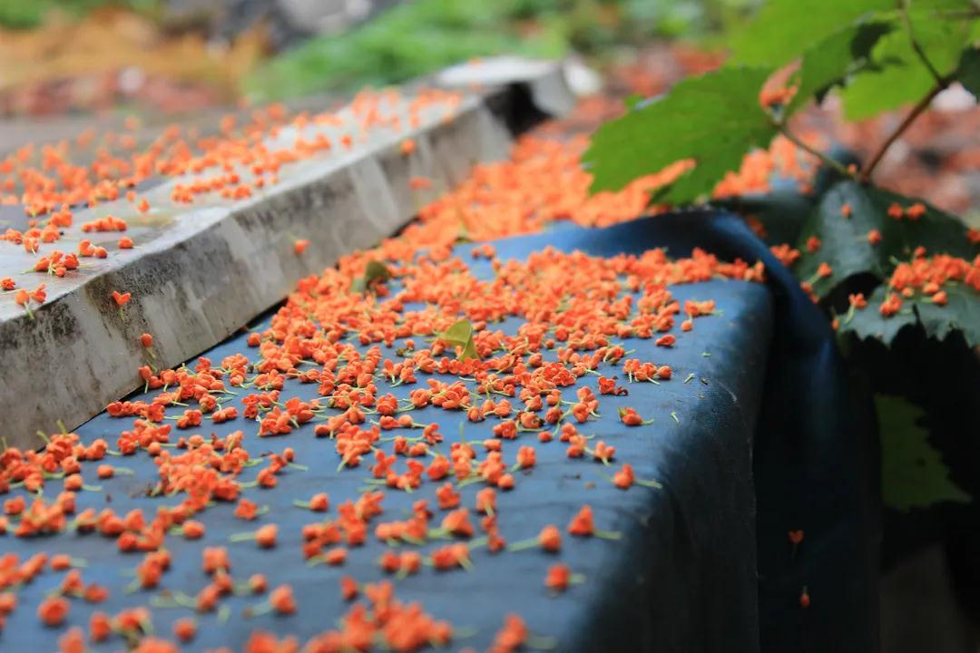 微信圖片_20211103095007.jpg 微信圖片_20211103095007.jpg